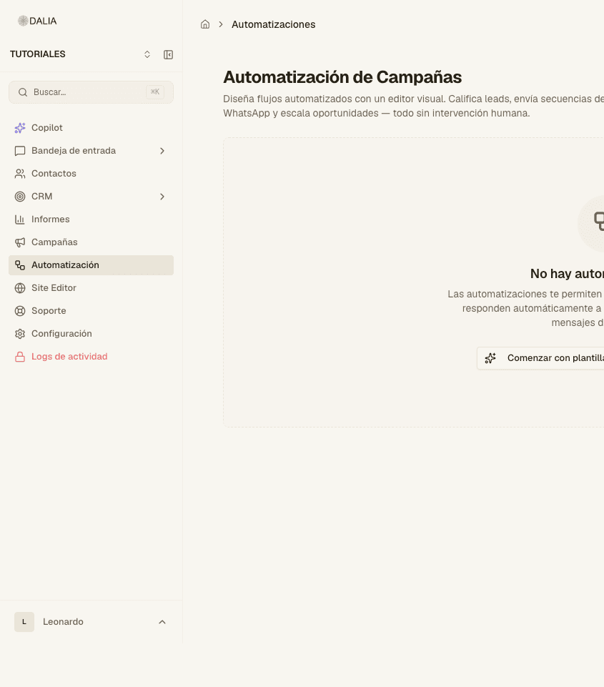 Pantalla de Automatización de Campañas sin flujos todavía