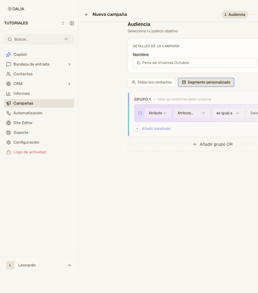 Paso 1 del asistente: nombre, bandeja y segmento personalizado